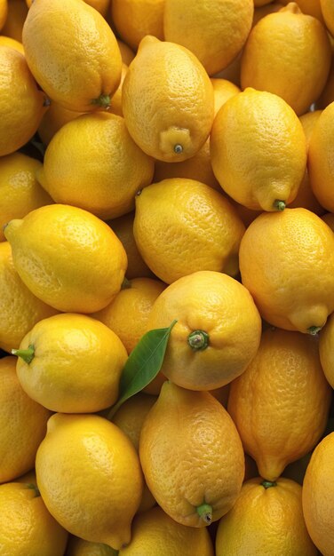 a bunch of lemons with a green leaf on top of them