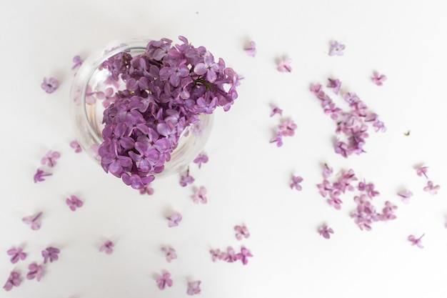 bunch lilac in vase on table