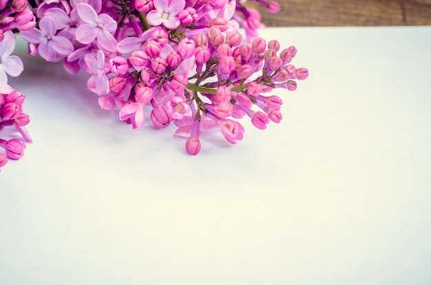 Bunch of lilac with blank paper page