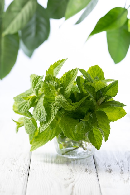 Bunch of mint on a white wooden background.