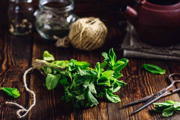 Bunch of Mint with Rusty Scissors. Tangle with Two Jars and Teapot on Backdrop.