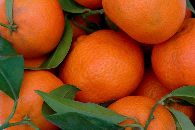 A bunch of oranges with green leaves on them