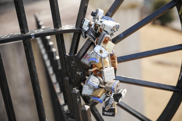 A bunch of padlocks are on a fence that says'lock'on it