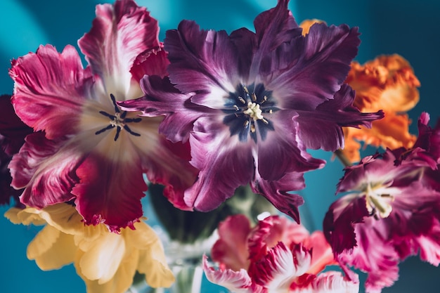 Bunch of Parrot Style Tulips