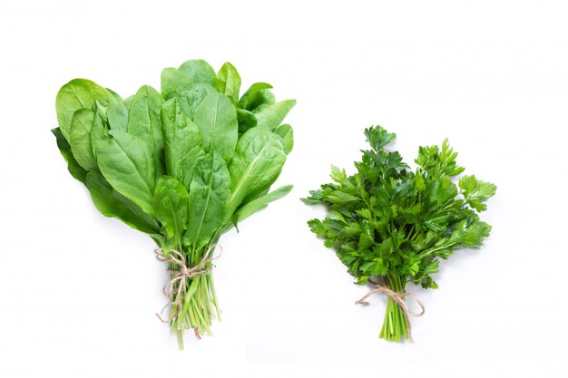 Bunch of parsley and sorrel on a white isolated background, vegan and healthy lifestyle