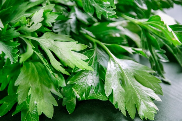 Bunch of parsley stem closeup view