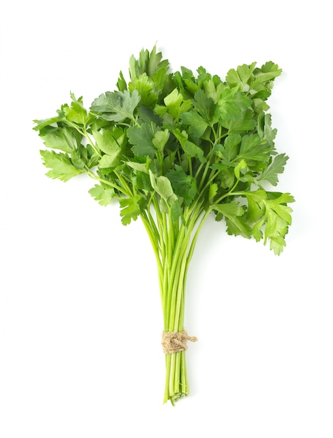 Bunch of parsley