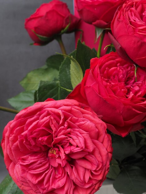 A bunch of pink peonies with green leaves