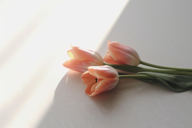 A bunch of pink tulips on a white table