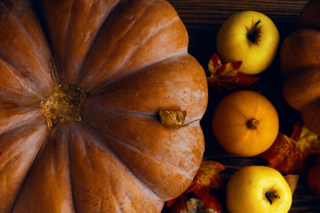 A bunch of pumpkins and apples.