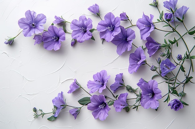 A bunch of purple flowers are arranged in a line on a white background