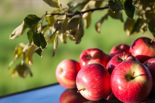 A bunch of red apples on a black surface with a green background