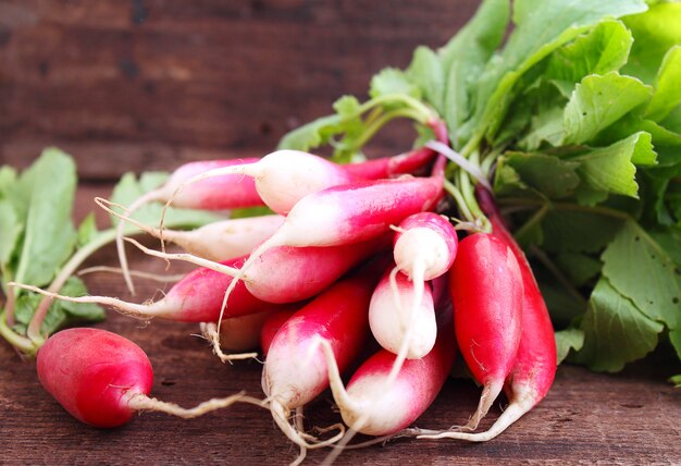 Bunch of a red garden radish with green leaves