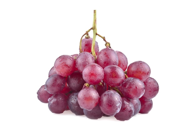 Bunch of red grapes with water drops isolated on white background