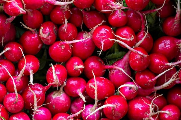 Bunch red radishes in the marketxA