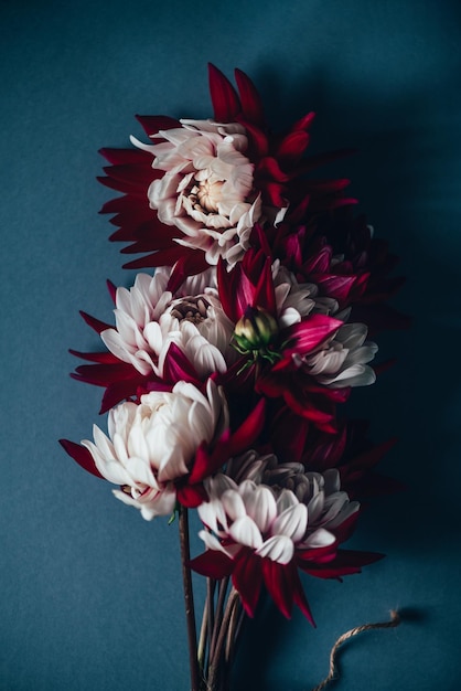 Bunch of red and white dahlias