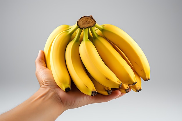 Bunch of ripe bananas holding on a hand isolated on white background