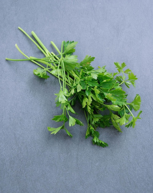 Bunch of ripe parsley on dark and moody textured background Above view