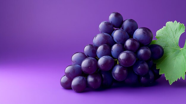 Photo a bunch of ripe purple grapes with a green leaf on a purple background