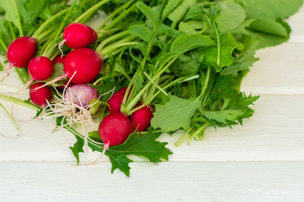 Bunch of round radishes with tops on the white table.