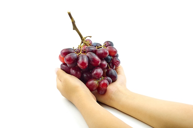 Bunch of small red grapes in children's hand on white background