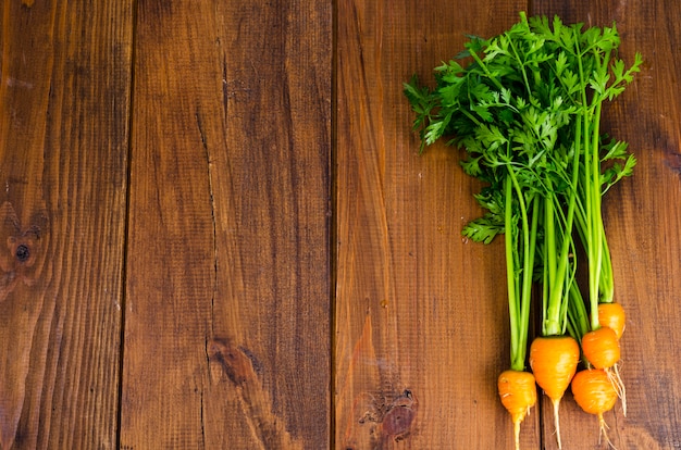 Bunch of small, round carrots (Parisian Heirloom Carrots) on wooden background. 