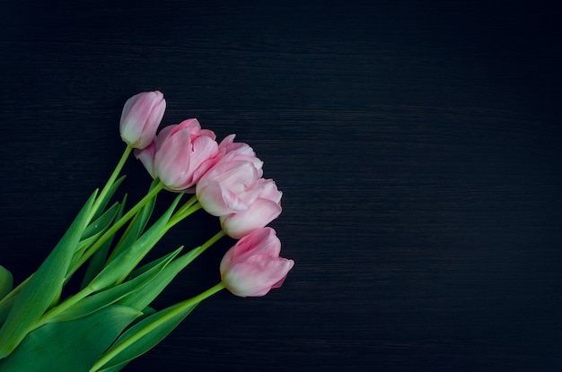 Bunch of spring pink tulips