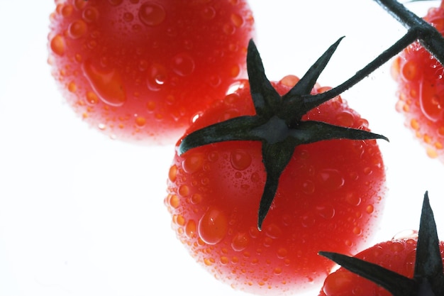 Bunch of tomatoes studio shot isolated over white