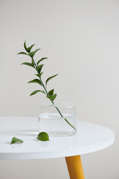 Bunch of twigs in a glass jar on the wooden table