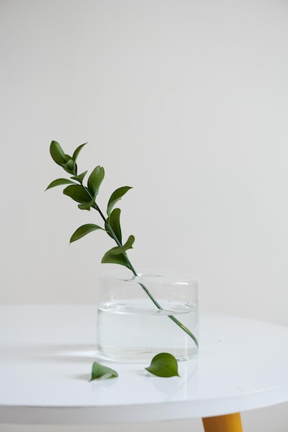 A bunch of twigs in a glass jar on the wooden table