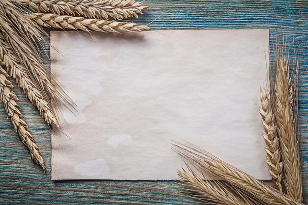 Bunch of wheat rye ears blank vintage sheet of paper on wood board