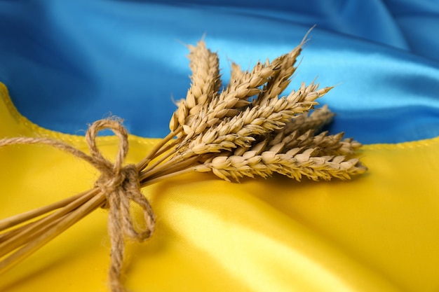 Bunch of wheat on Ukrainian national flag closeup