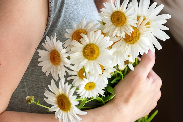 Bunch of white camomile flowers in woman hands