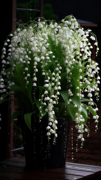 A bunch of white flowers with green leaves