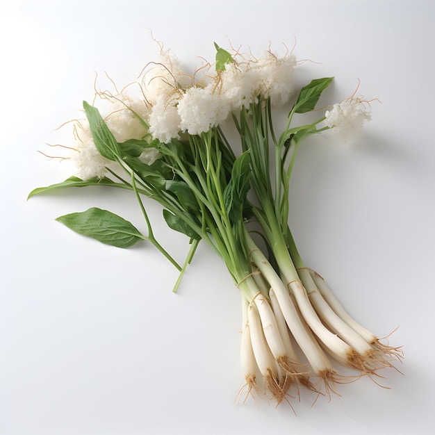 a bunch of white flowers with the name quot on it