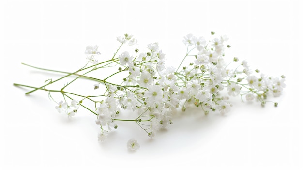 a bunch of white flowers with the word quot on it