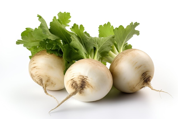 A bunch of white radishes with green leaves on a white background