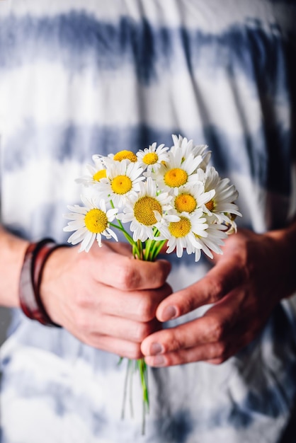 Bunch of Wild Chamomile Flowers