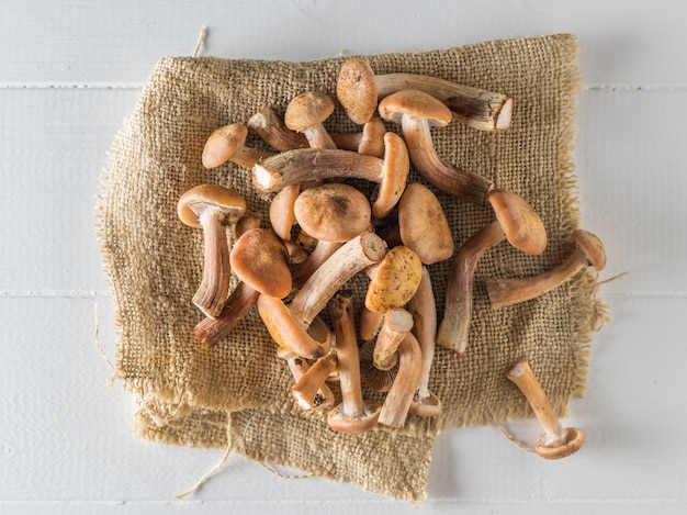 A bunch of wild mushrooms scattered on a piece of burlap on a white table