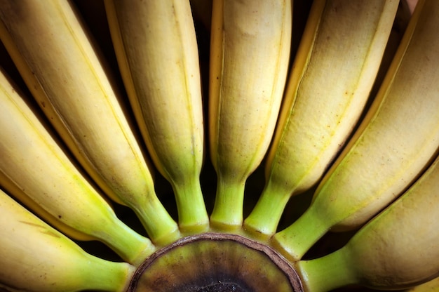 A bunch of yellow bananas on a wooden backgroundxA