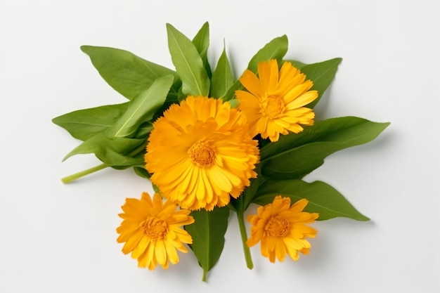 a bunch of yellow flowers with green leaves