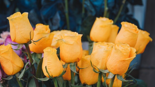 A bunch of yellow roses are displayed in a store.