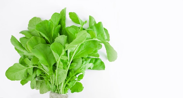 A bunch of young radish leaves