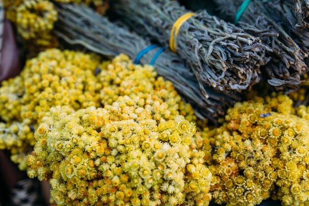 Bunches of fresh medicinal flowers of helichrysum and hypericum