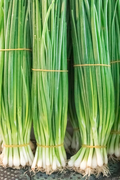 Bunches of green onions texture