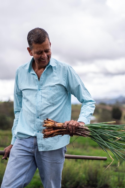 bunching onion harvest process man holding a bunching onion in his hands while smiling