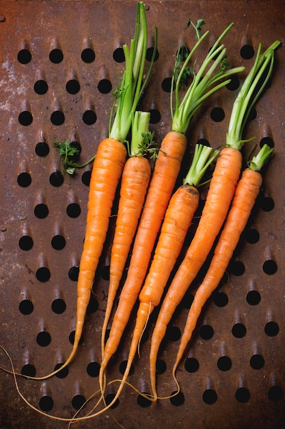 Bundle of carrots