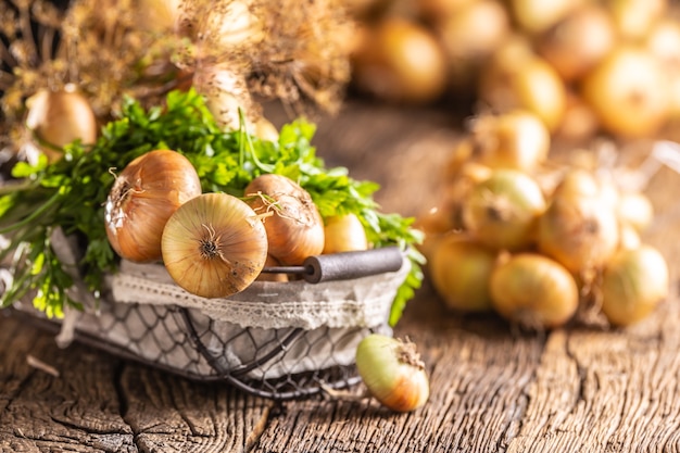 Bundle of freely lying dried onion with parsley herbs and dill in basket on a wooden table.