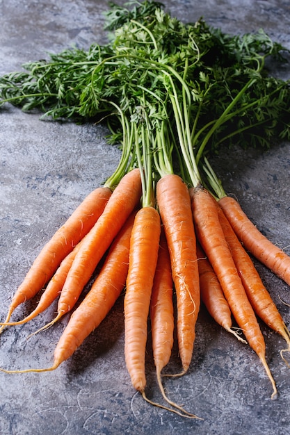 Bundle of fresh carrot