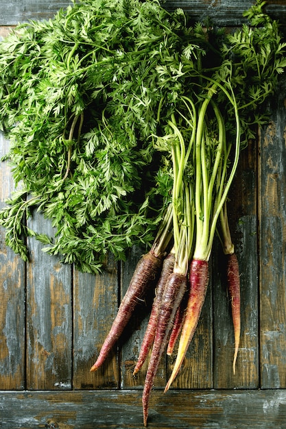 Bundle of purple carrot